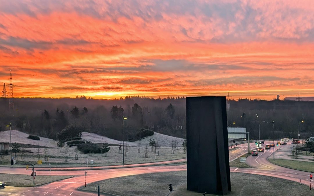 The Spleen of the 21st Century